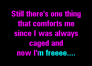 Still there's one thing
that comforts me

since I was always
caged and
now I'm freeee....