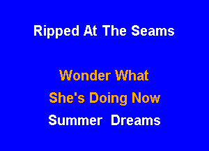 Ripped At The Seams

Wonder What

She's Doing Now
Summer Dreams