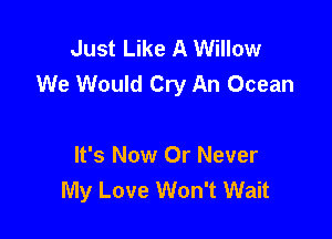 Just Like A Willow
We Would Cry An Ocean

It's Now Or Never
My Love Won't Wait