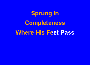 Sprung In

Completeness
Where His Feet Pass