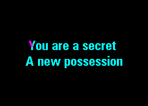 You are a secret

A new possession