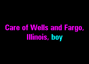 Care of Wells and Fargo,

Illinois, boy
