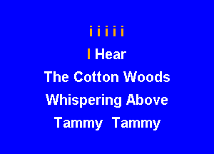 The Cotton Woods

Whispering Above
Tammy Tammy