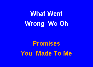 What Went
Wrong W0 Oh

Promises
You Made To Me