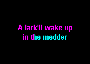 A lark'll wake up

in the medder