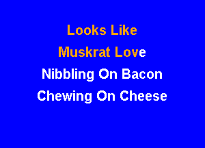 Looks Like
Muskrat Love
Nibbling On Bacon

Chewing On Cheese