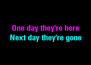 One day they're here

Next day they're gone