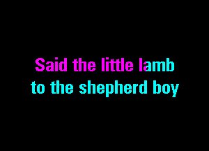 Said the little lamb

to the shepherd boy