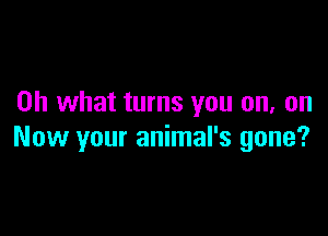 Oh what turns you on, on

Now your animal's gone?