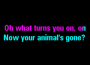 Oh what turns you on, on

Now your animal's gone?