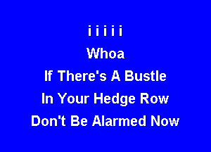 If There's A Bustle

In Your Hedge Row
Don't Be Alarmed Now