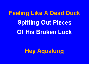 Feeling Like A Dead Duck
Spitting Out Pieces
Of His Broken Luck

Hey Aqualung