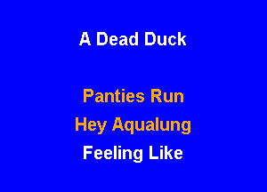 A Dead Duck

Panties Run

Hey Aqualung
Feeling Like