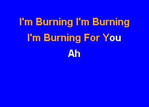 I'm Burning I'm Burning
I'm Burning For You
Ah