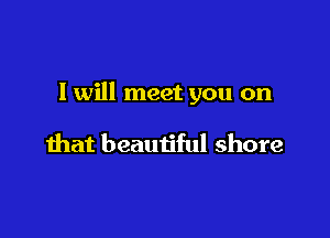 I will meet you on

that beautiful shore