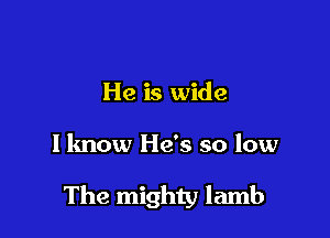 He is wide

I know He's so low

The mighty lamb