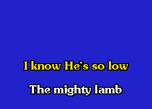 I know He's so low

The mighty lamb