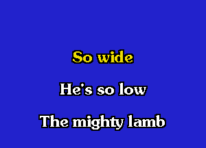 80 wide

He's so low

The mighty lamb