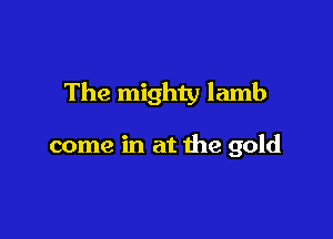 The mighty lamb

come in at the gold