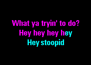 What ya tryin' to do?

Hey hey hey hey
Hey stoopid