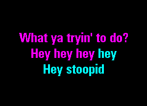 What ya tryin' to do?

Hey hey hey hey
Hey stoopid