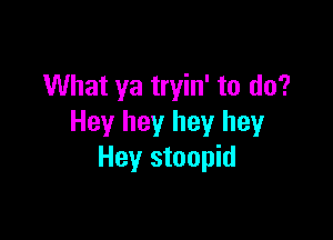 What ya tryin' to do?

Hey hey hey hey
Hey stoopid