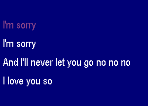 sorry

I'm sorry

And I'll never let you go no no no

I love you so