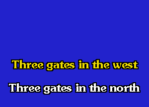 Three gates in the west

Three gates in the north