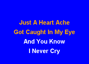 Just A Heart Ache
Got Caught In My Eye
And You Know

I Never Cry