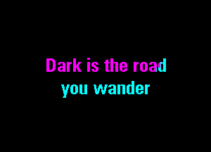 Dark is the road

you wander