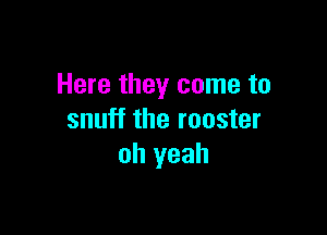 Here they come to

snuff the rooster
oh yeah
