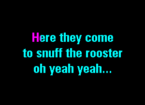 Here they come

to snuff the rooster
oh yeah yeah...