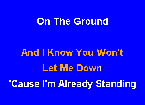 On The Ground

And I Know You Won't

Let Me Down
'Cause I'm Already Standing