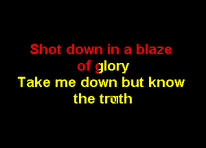 Shot down in a blaze
of glory

Take me down but know
the trmth