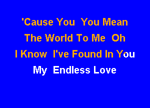 'Cause You You Mean
The World To Me Oh

I Know I've Found In You
My Endless Love