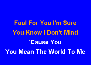 Fool For You I'm Sure
You Know I Don't Mind

'Cause You
You Mean The World To Me