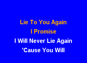 Lie To You Again

I Promise
I Will Never Lie Again
'Cause You Will