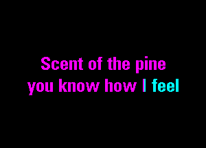 Scent of the pine

you know how I feel
