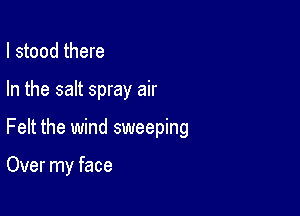 I stood there

In the salt spray air

Felt the wind sweeping

Over my face