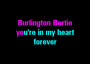 Burlington Bertie

you're in my heart
forever
