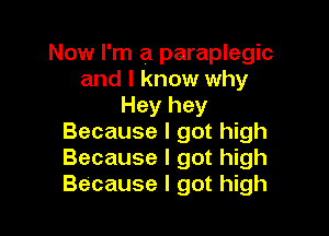 Now I'm a paraplegic
and I know why
Hey hey

Because I got high
Because I got high
Because I got high