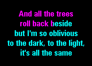 And all the trees
roll back beside

but I'm so oblivious
to the dark. to the light.
it's all the same