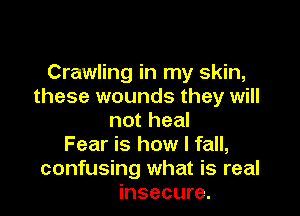 Crawling in my skin,
these wounds they will

not heal
Fear is how I fall,
confusing what is real
insecure.