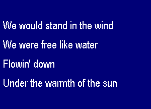 We would stand in the wind
We were free like water

Flowin' down

Under the warmth of the sun