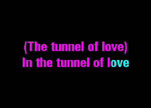 (The tunnel of love)

In the tunnel of love