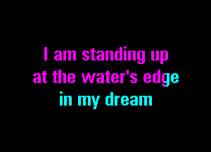 I am standing up

at the water's edge
in my dream