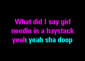 What did I say girl

needle in a haystack
yeah yeah she doop