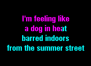 I'm feeling like
a dog in heat

barred indoors
from the summer street