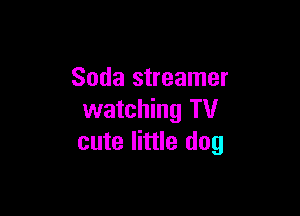Soda streamer

watching TV
cute little dog
