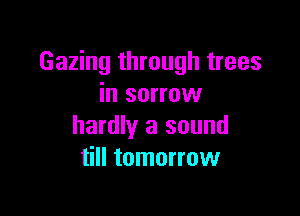 Gazing through trees
in sorrow

hardly a sound
till tomorrow